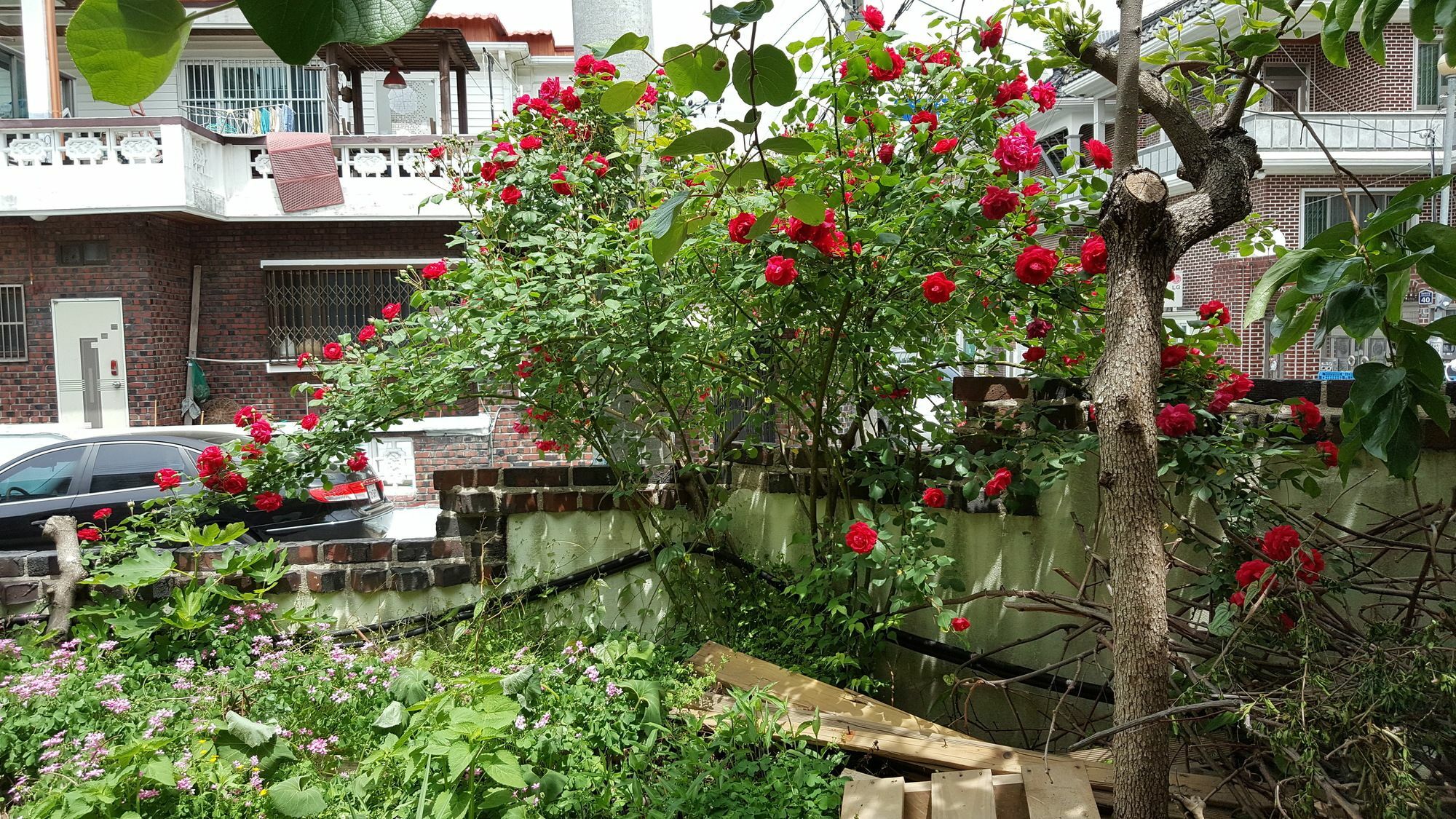 Camino B&B Changwon Exterior foto